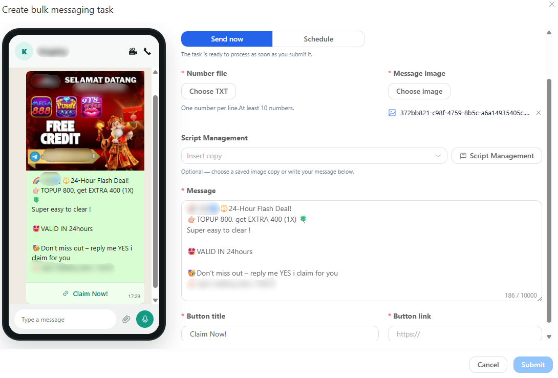 WS Solution campaign preview interface